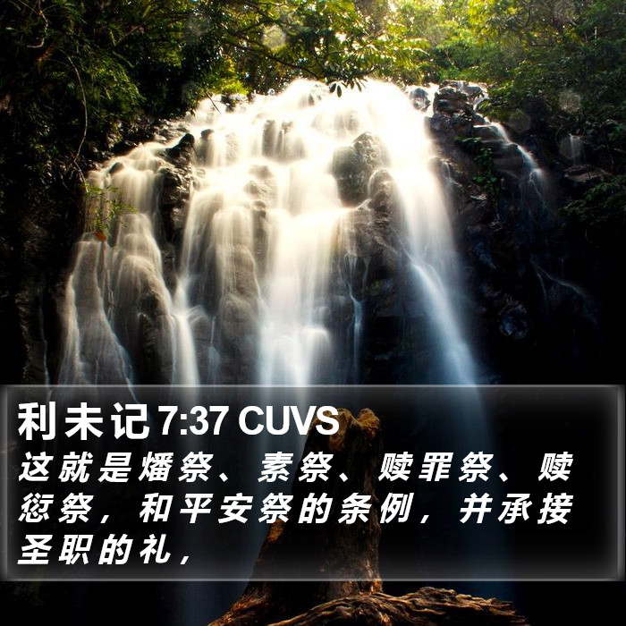 利 未 记 7:37 CUVS Bible Study