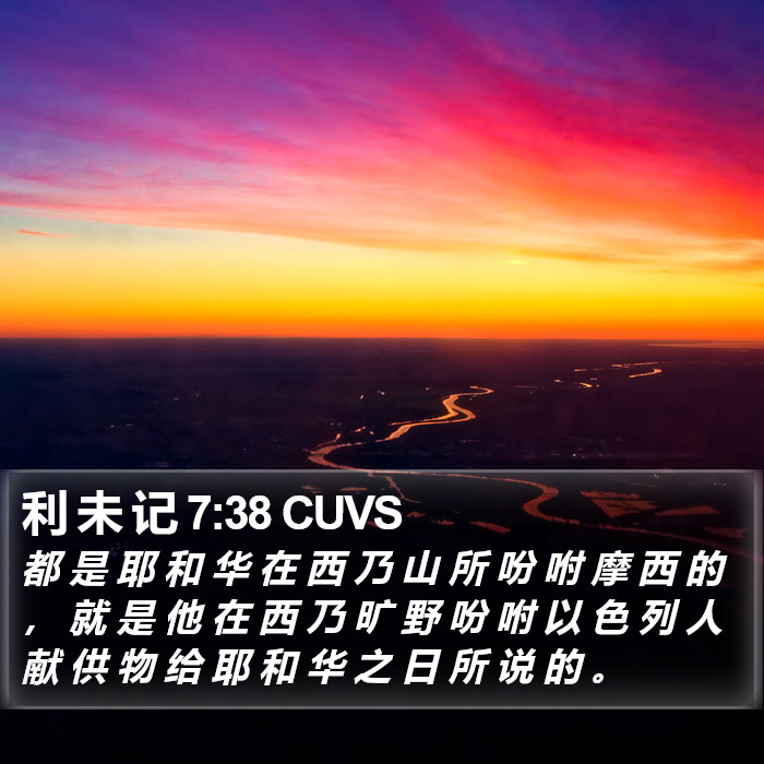 利 未 记 7:38 CUVS Bible Study