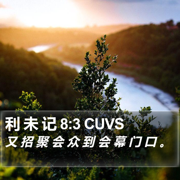 利 未 记 8:3 CUVS Bible Study