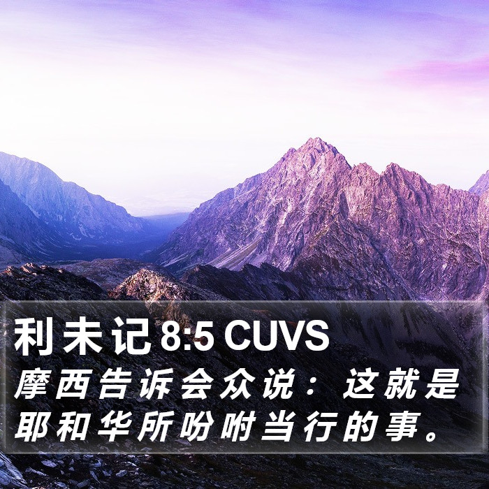 利 未 记 8:5 CUVS Bible Study