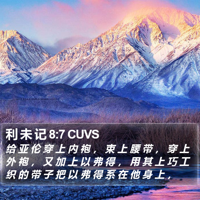 利 未 记 8:7 CUVS Bible Study