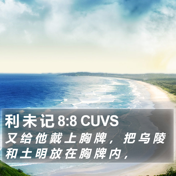 利 未 记 8:8 CUVS Bible Study