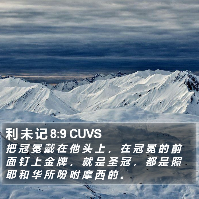 利 未 记 8:9 CUVS Bible Study