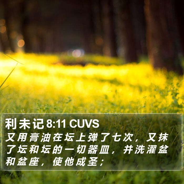 利 未 记 8:11 CUVS Bible Study