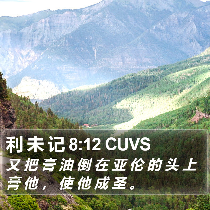 利 未 记 8:12 CUVS Bible Study