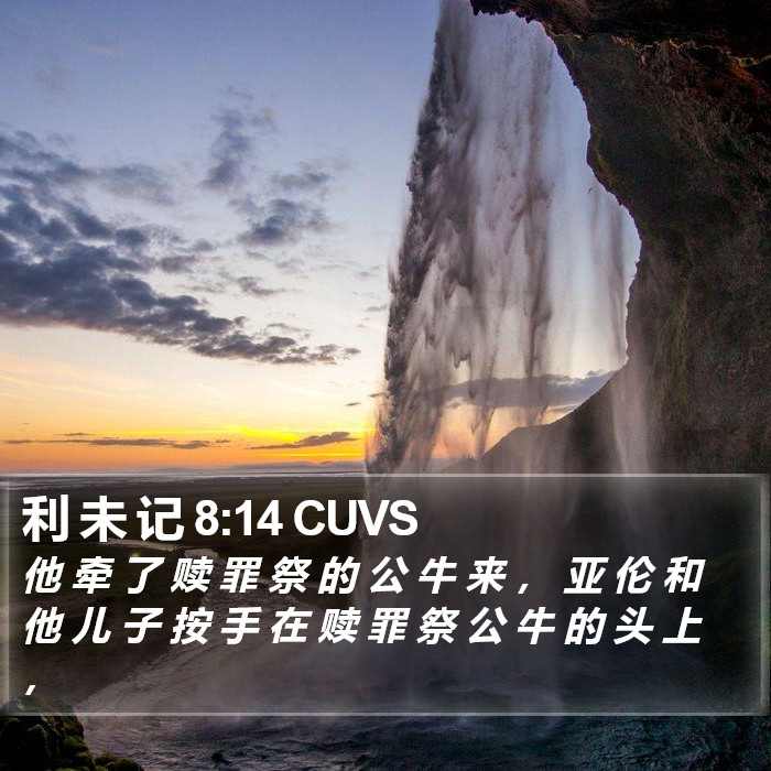 利 未 记 8:14 CUVS Bible Study