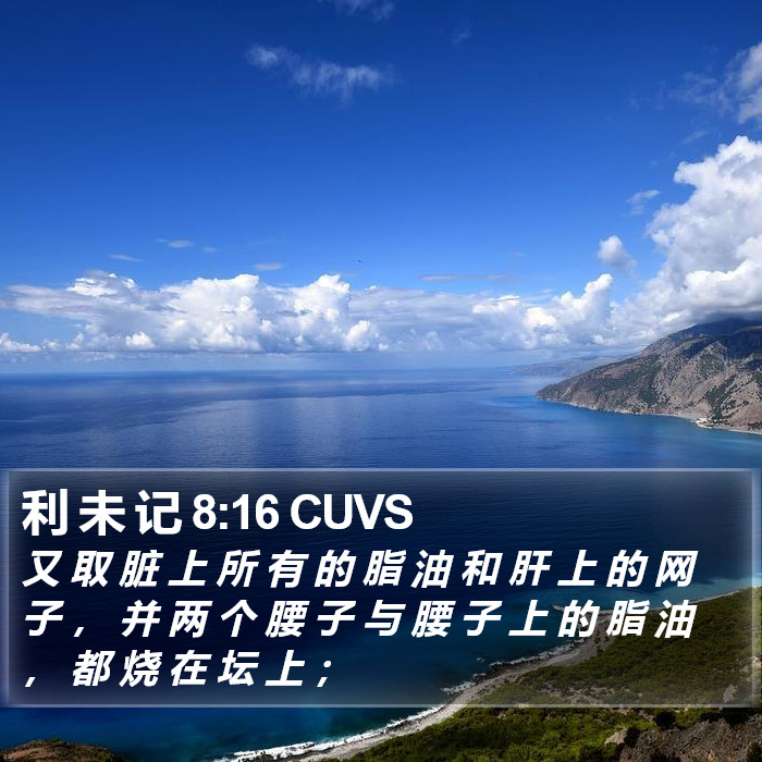 利 未 记 8:16 CUVS Bible Study
