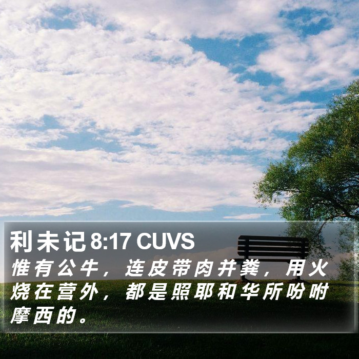 利 未 记 8:17 CUVS Bible Study