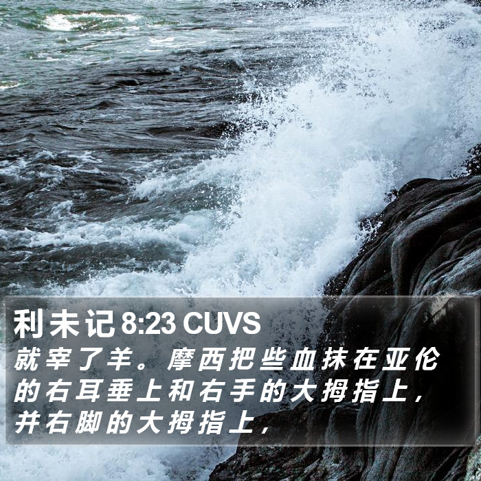 利 未 记 8:23 CUVS Bible Study