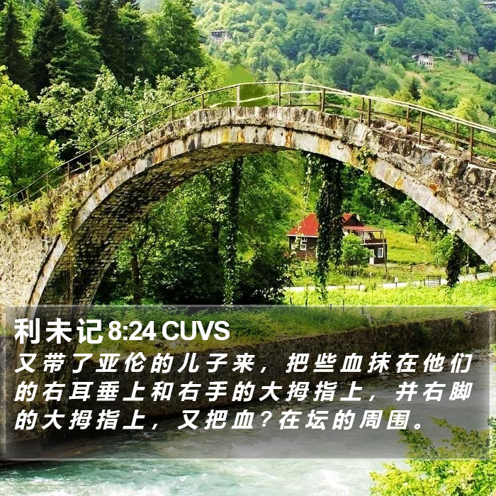 利 未 记 8:24 CUVS Bible Study