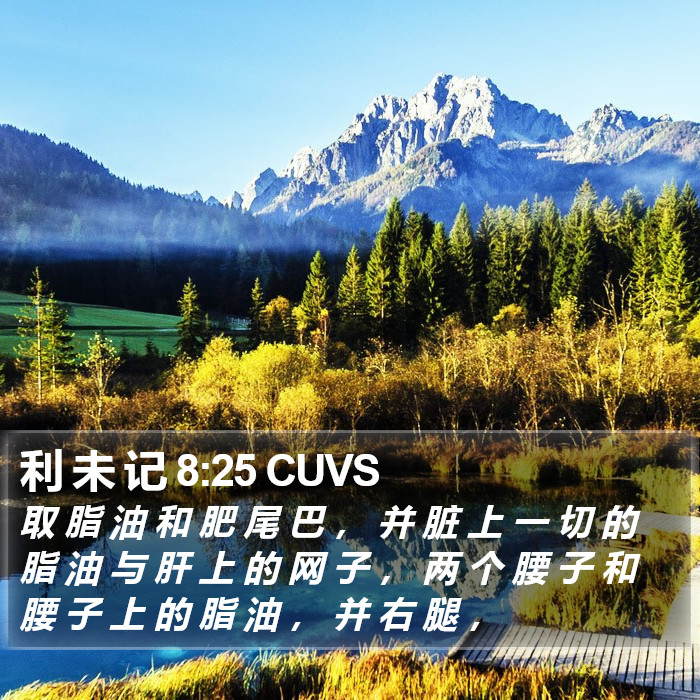 利 未 记 8:25 CUVS Bible Study