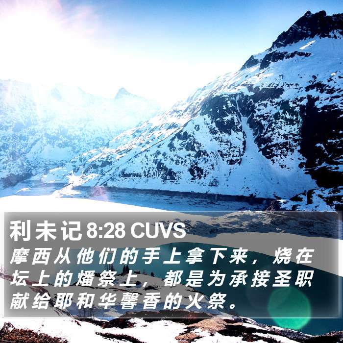 利 未 记 8:28 CUVS Bible Study