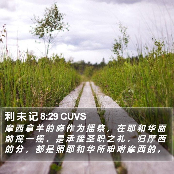 利 未 记 8:29 CUVS Bible Study