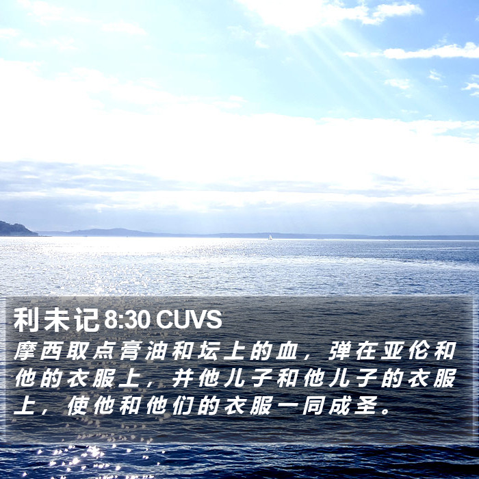 利 未 记 8:30 CUVS Bible Study
