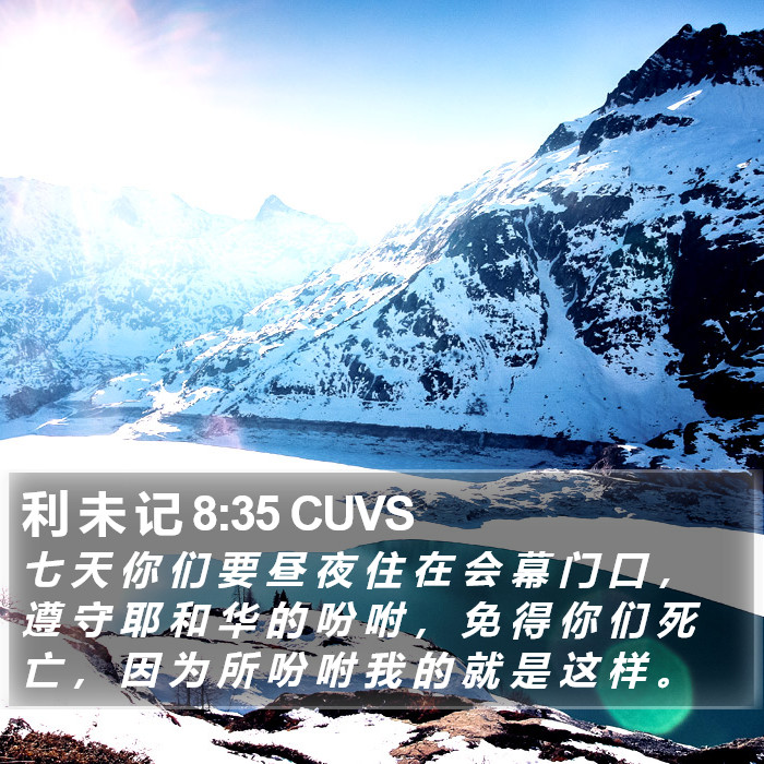 利 未 记 8:35 CUVS Bible Study