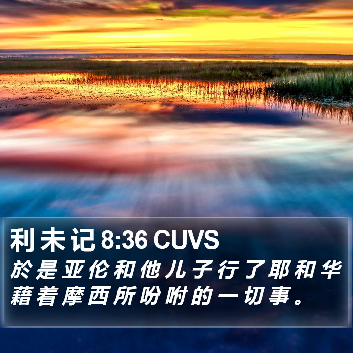利 未 记 8:36 CUVS Bible Study
