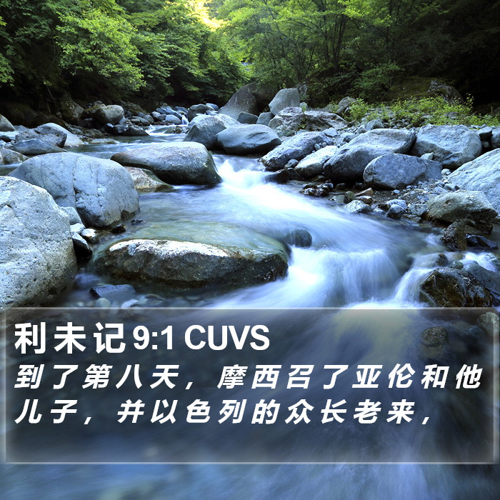 利 未 记 9:1 CUVS Bible Study
