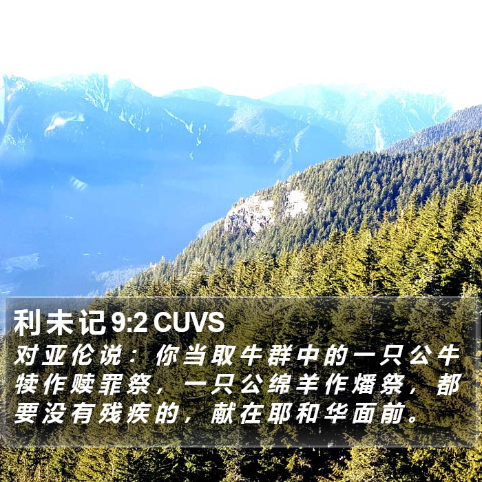 利 未 记 9:2 CUVS Bible Study