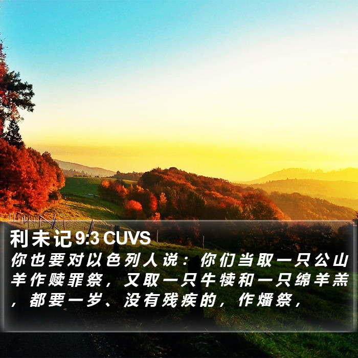 利 未 记 9:3 CUVS Bible Study