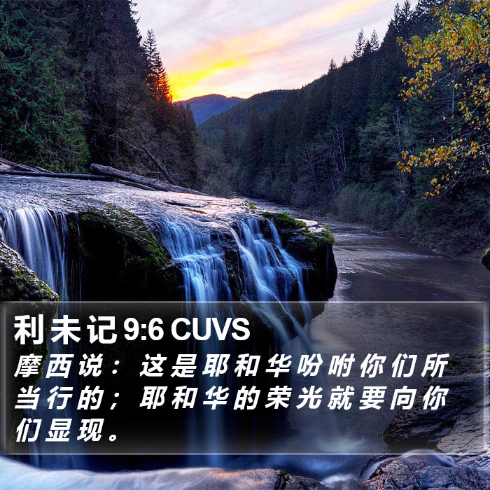 利 未 记 9:6 CUVS Bible Study