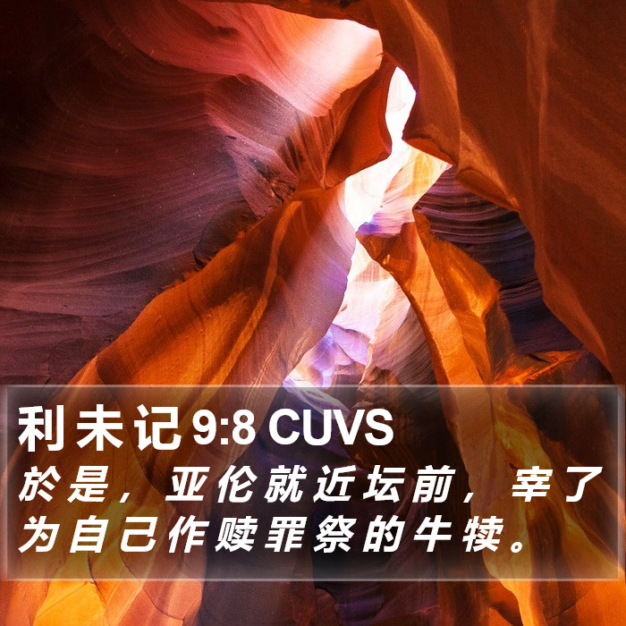 利 未 记 9:8 CUVS Bible Study