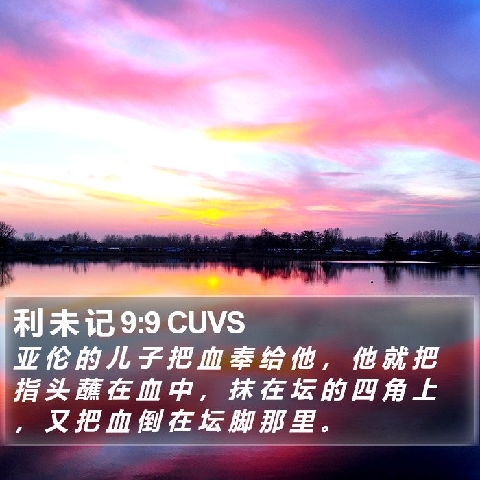 利 未 记 9:9 CUVS Bible Study