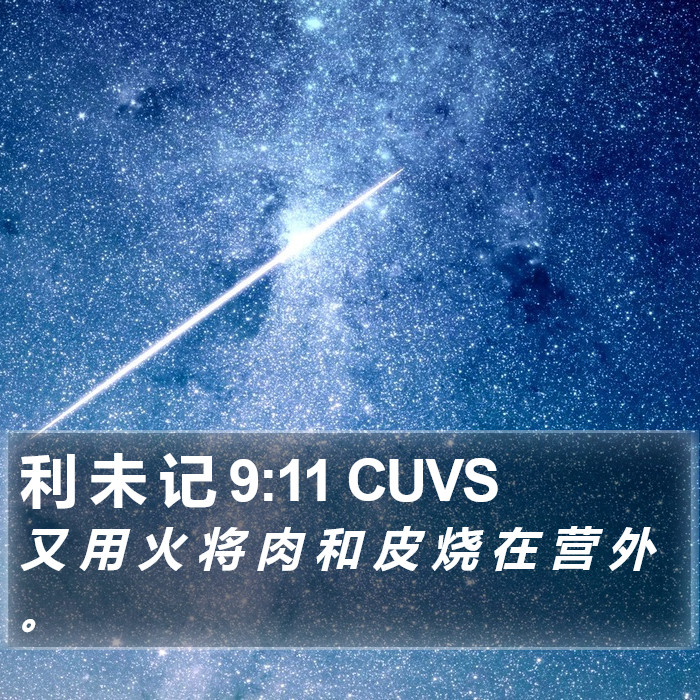 利 未 记 9:11 CUVS Bible Study