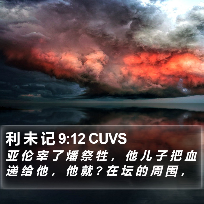 利 未 记 9:12 CUVS Bible Study