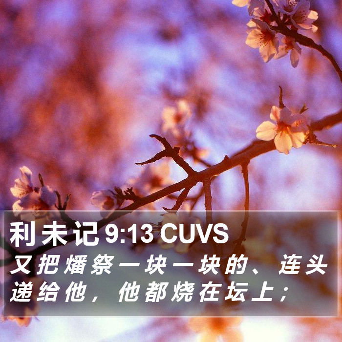 利 未 记 9:13 CUVS Bible Study