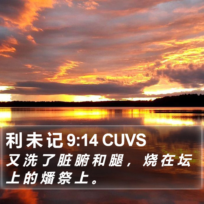 利 未 记 9:14 CUVS Bible Study