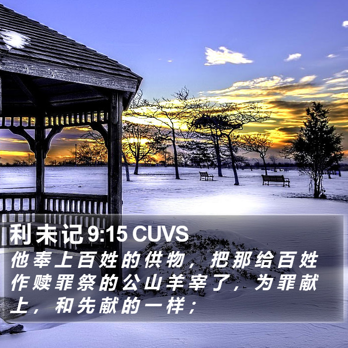 利 未 记 9:15 CUVS Bible Study