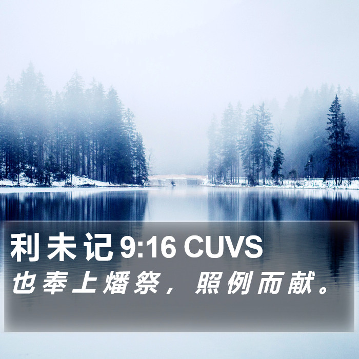 利 未 记 9:16 CUVS Bible Study