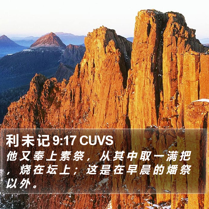 利 未 记 9:17 CUVS Bible Study
