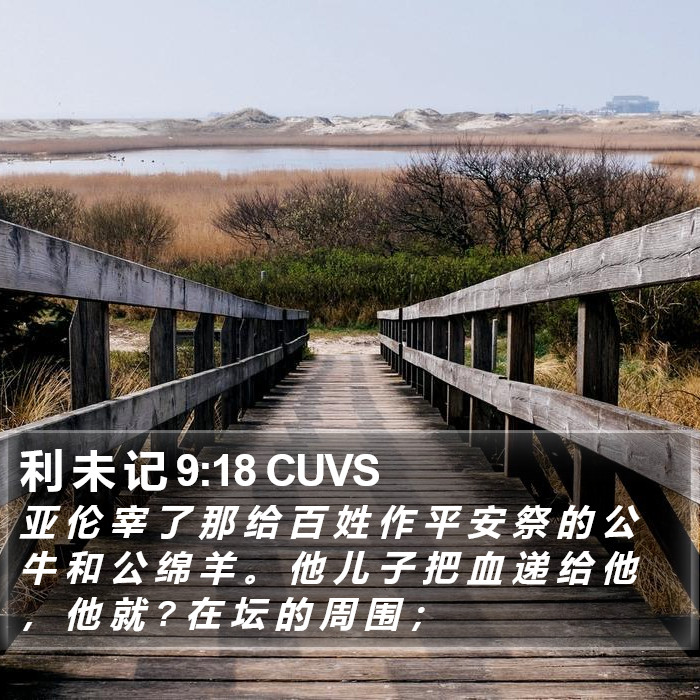 利 未 记 9:18 CUVS Bible Study