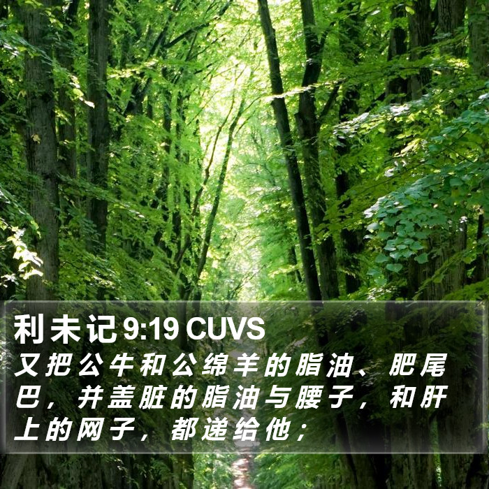 利 未 记 9:19 CUVS Bible Study