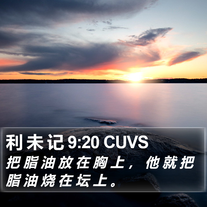 利 未 记 9:20 CUVS Bible Study