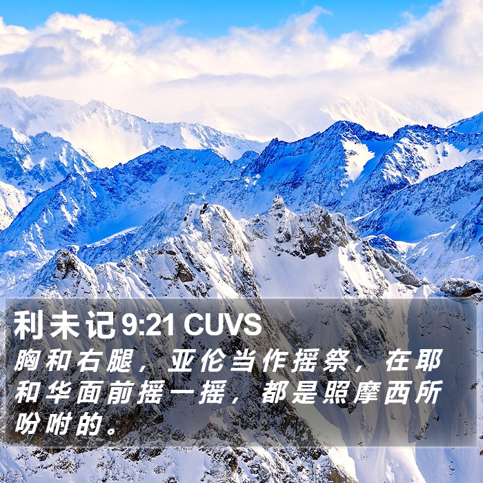 利 未 记 9:21 CUVS Bible Study