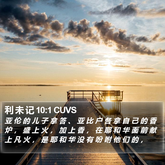 利 未 记 10:1 CUVS Bible Study