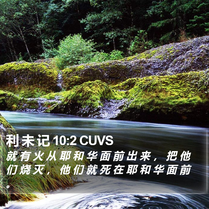 利 未 记 10:2 CUVS Bible Study