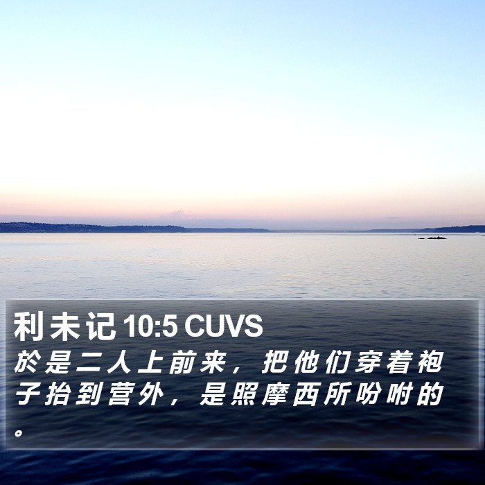 利 未 记 10:5 CUVS Bible Study