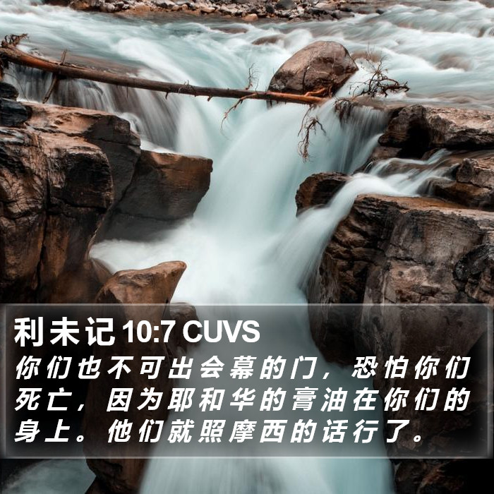 利 未 记 10:7 CUVS Bible Study