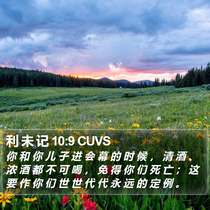 利 未 记 10:9 CUVS Bible Study
