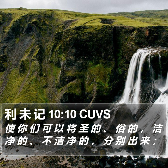 利 未 记 10:10 CUVS Bible Study