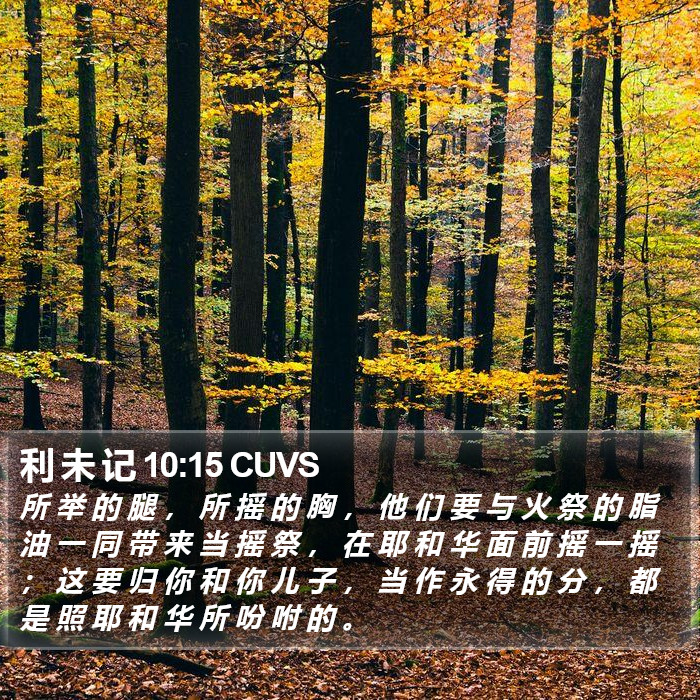 利 未 记 10:15 CUVS Bible Study
