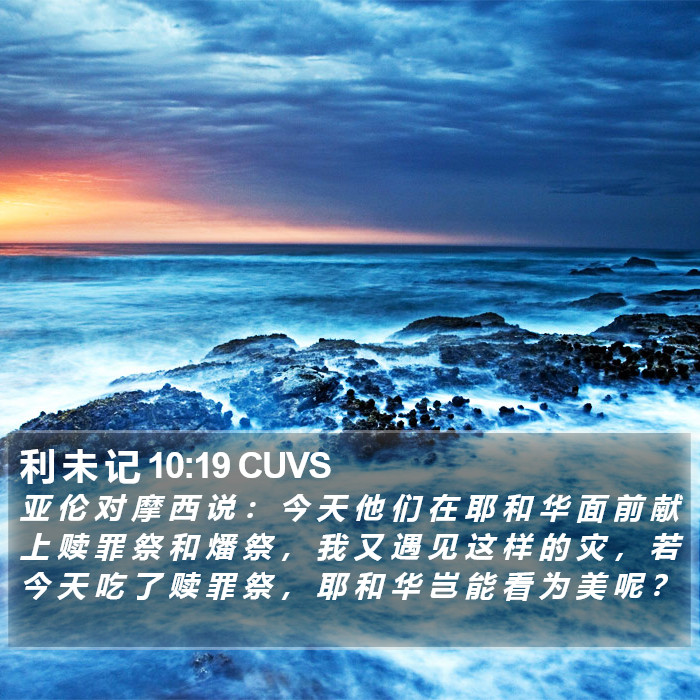 利 未 记 10:19 CUVS Bible Study