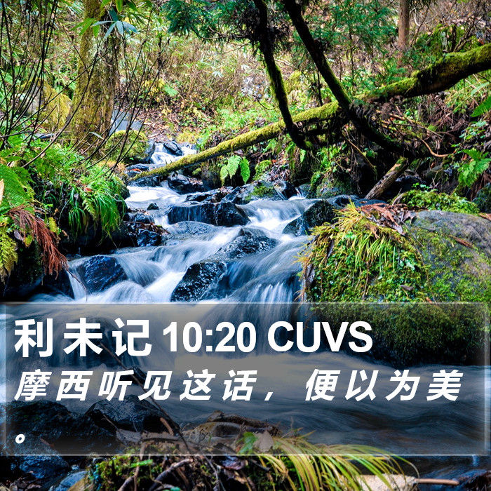 利 未 记 10:20 CUVS Bible Study