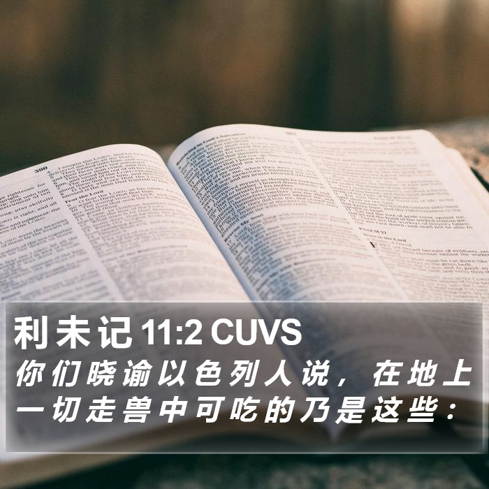 利 未 记 11:2 CUVS Bible Study