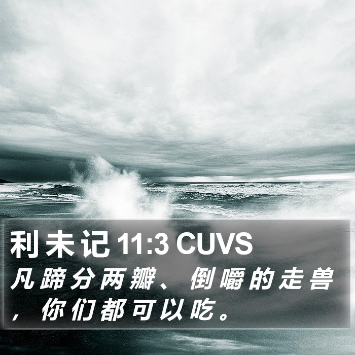 利 未 记 11:3 CUVS Bible Study