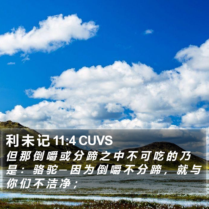 利 未 记 11:4 CUVS Bible Study