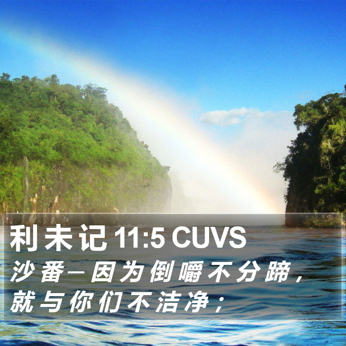 利 未 记 11:5 CUVS Bible Study